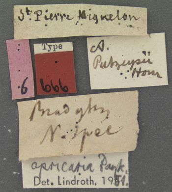 Media type: image;   Entomology 666 Aspect: labels